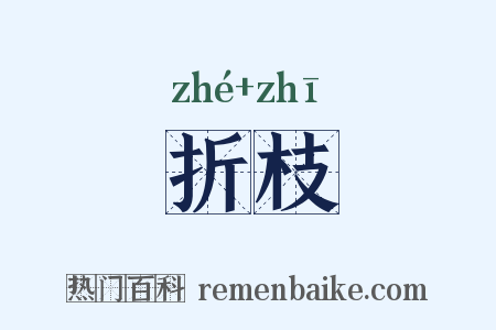 折枝是什么意思的图片